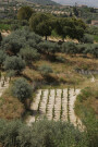 View from Pianogrillo Farm Organic Winery, Chiaramonte Gulfi, Sicily